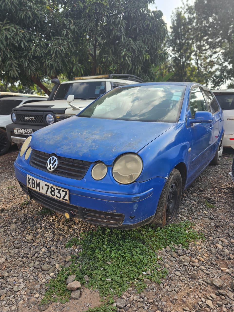 VOLKSWAGEN POLO